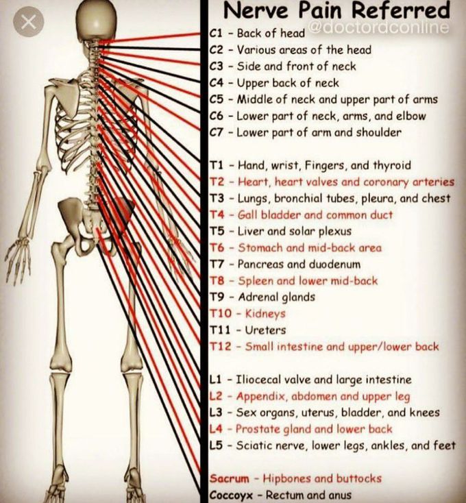 Involvement of Nerves in referring PAIN