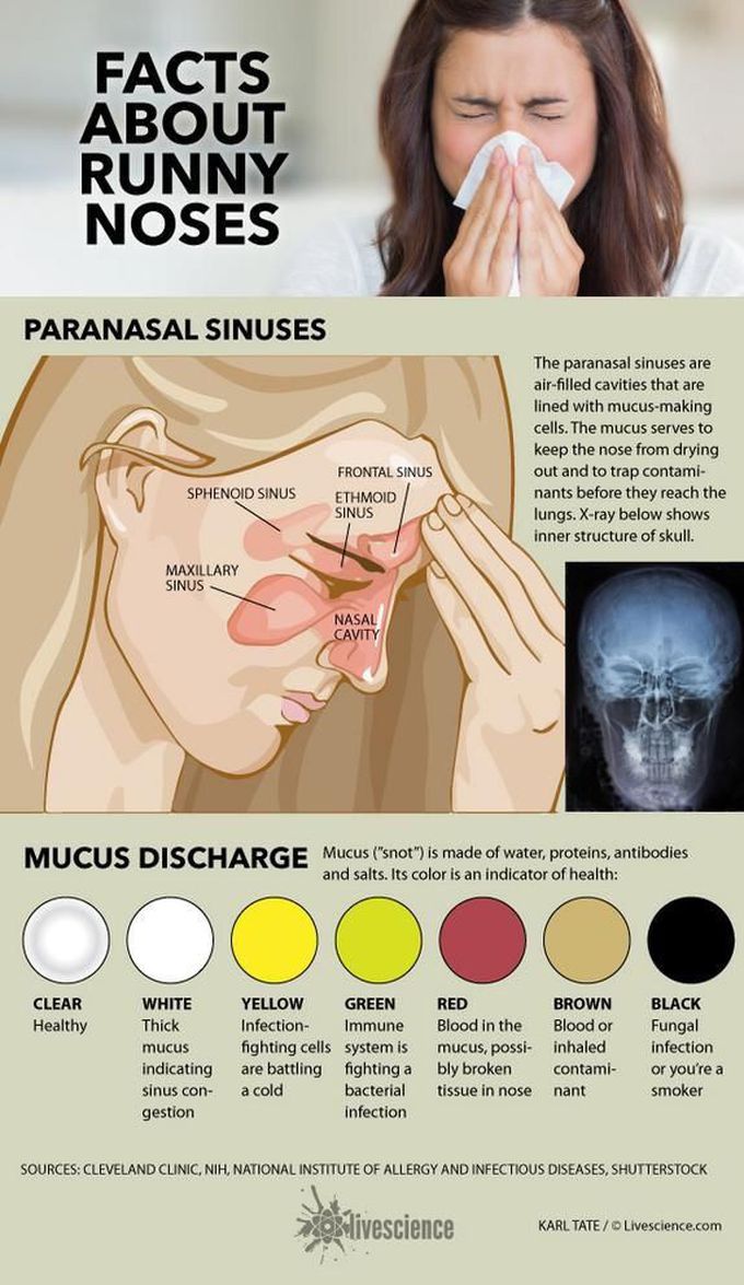 Facts about Runny Nose