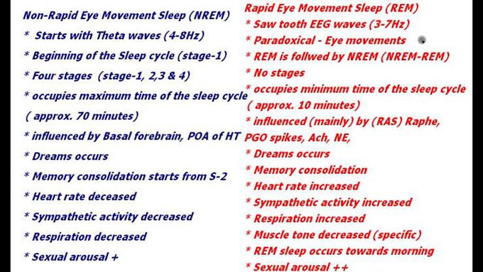 Non REM vs REM sleep