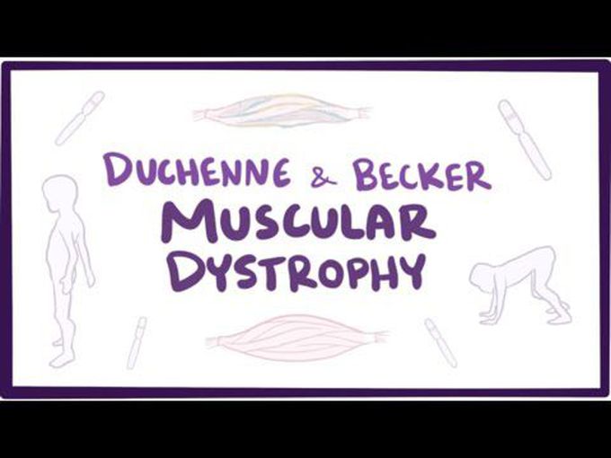 Muscular pathology- Dystrophies