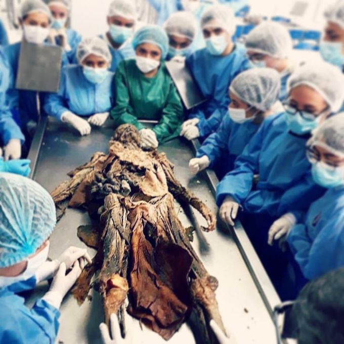 Anatomy labs be like 