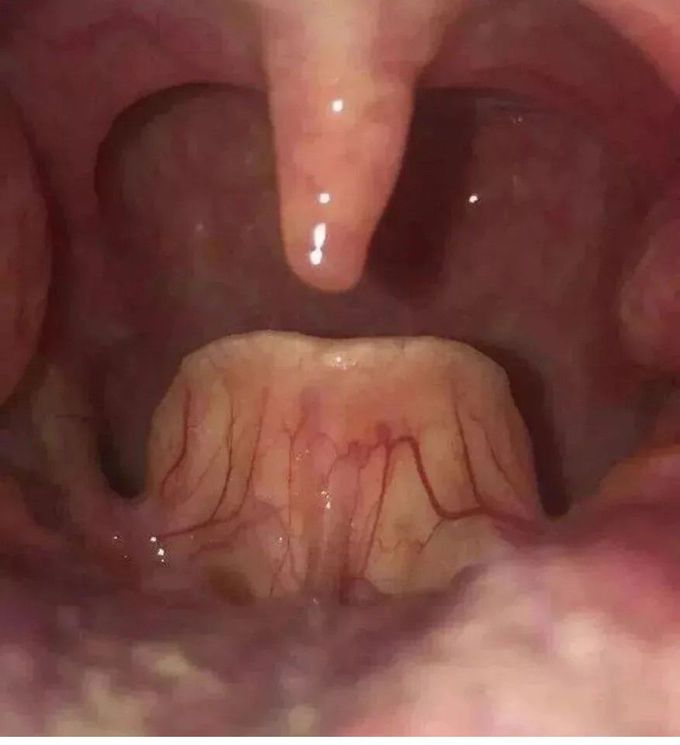 Diagnose It