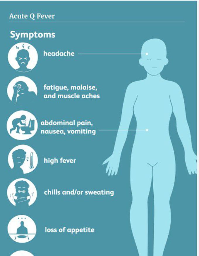 Symptoms of Q fever