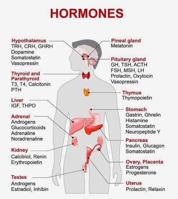 Hormones