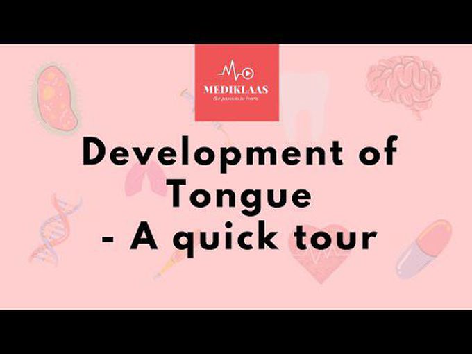 Precise development of tongue