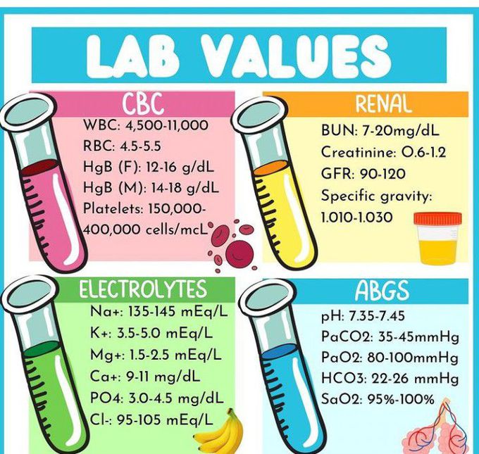 Normal Labs