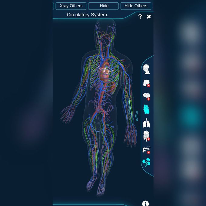 Human anatomy (app)