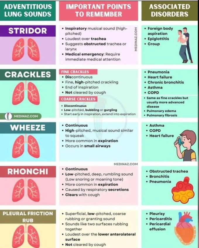 Lung Sounds