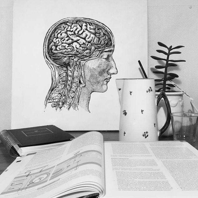 Sunday is perfect day to study 🤷🏽‍♀️📚