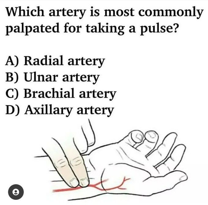 Quiz