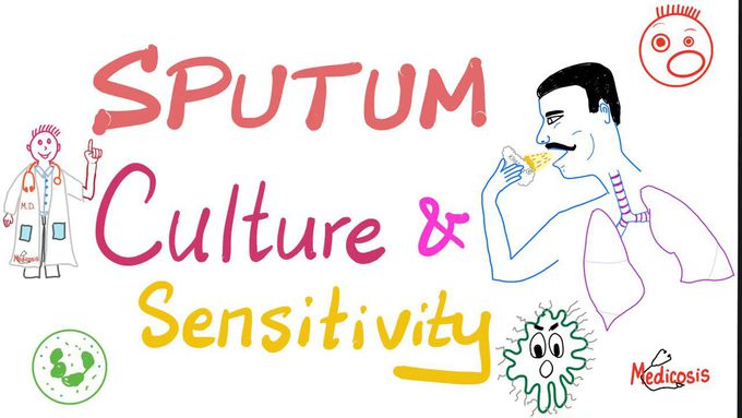 Sputum Culture and Sensitivity