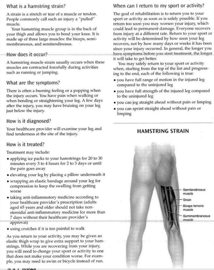 Strain of the Hamstring Muscle