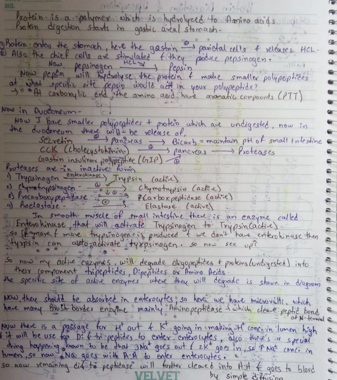 My biochem notes!!