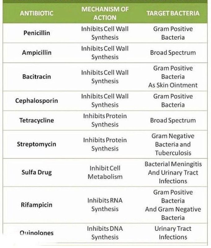 Common antibiotics