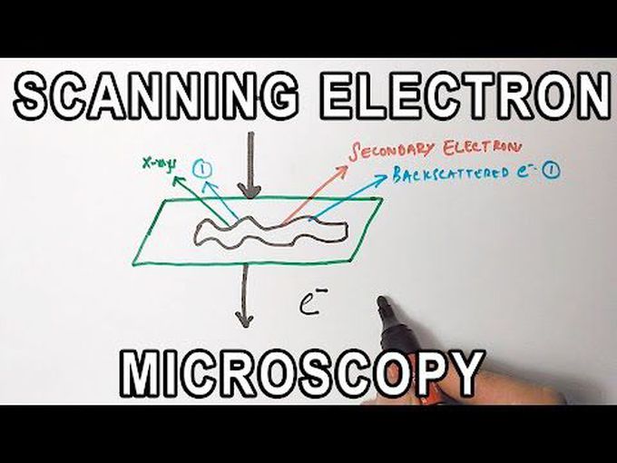 Scanning Electron Microscope(SEM)