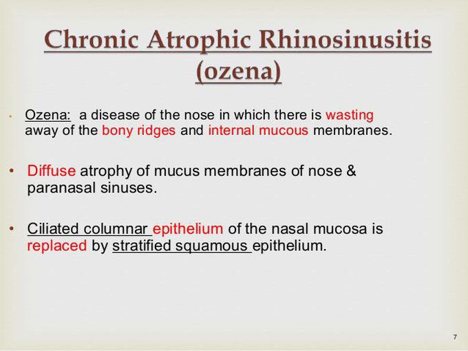 klebsiella ozaenae(a gram negative rods) present in ozena