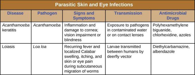 Parasitic Skin and Eye infection
