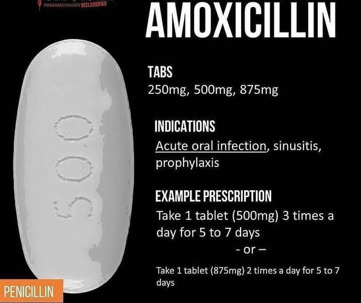 Amoxicillin MEDizzy   56e7a373 847b 4df6 A7a3 73847b5df656