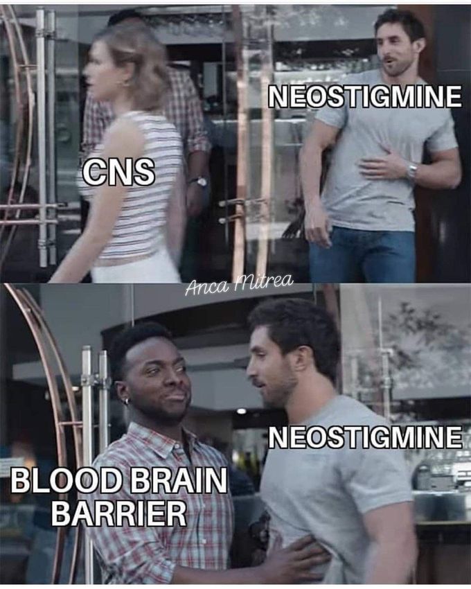 BBB and neostigmine
