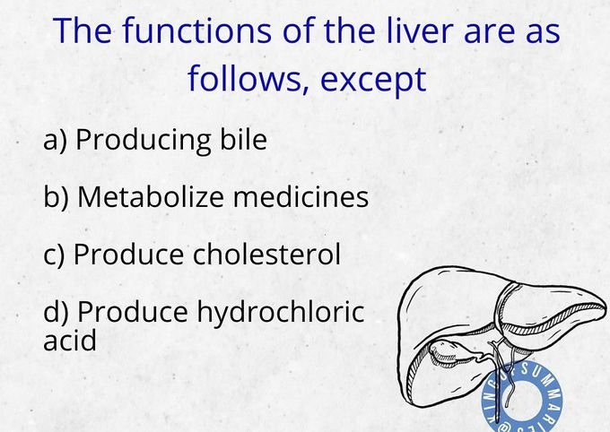 Liver Functions