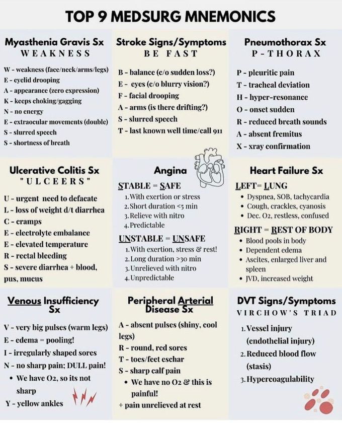 Top Mnemonics