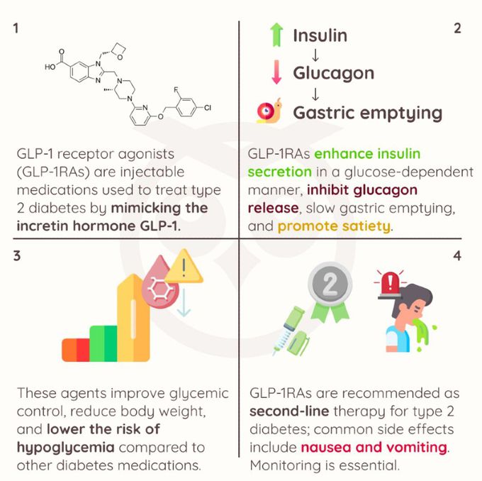 GLP-1 Agonist Drugs II