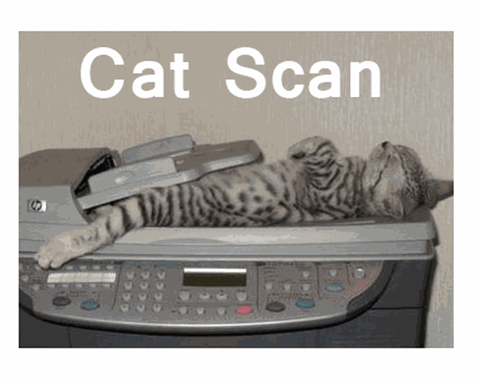 Meow...