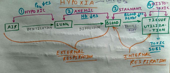 Hypoxia types