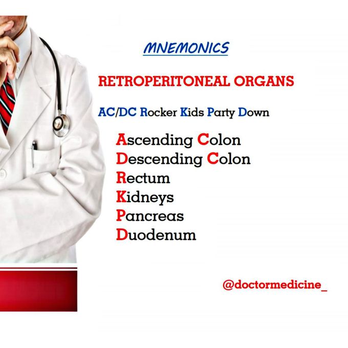 Anatomy mnemonics