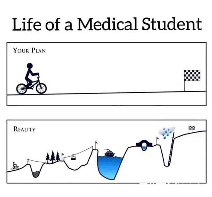 Our path😶