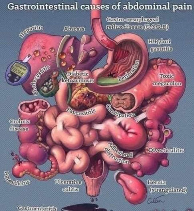 Gastrointestinal