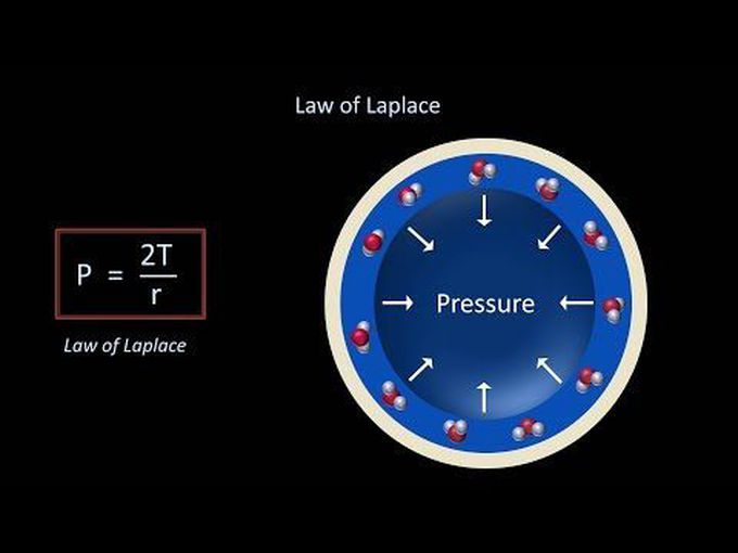 Surface Tension and Pulmonary Surfactant