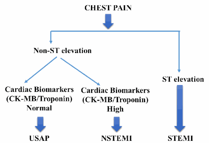 Acute Coronary Syndrome