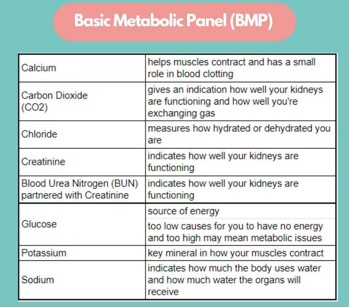 Basic Metabolic Panel