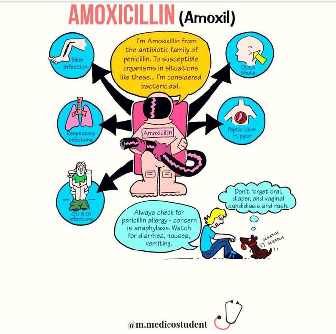 ANTIBIOTICS - MEDizzy