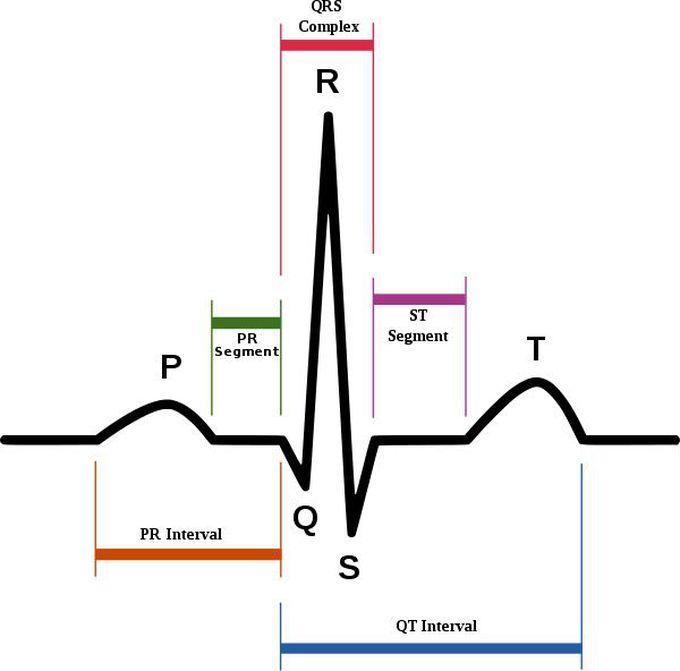 ECG Basic