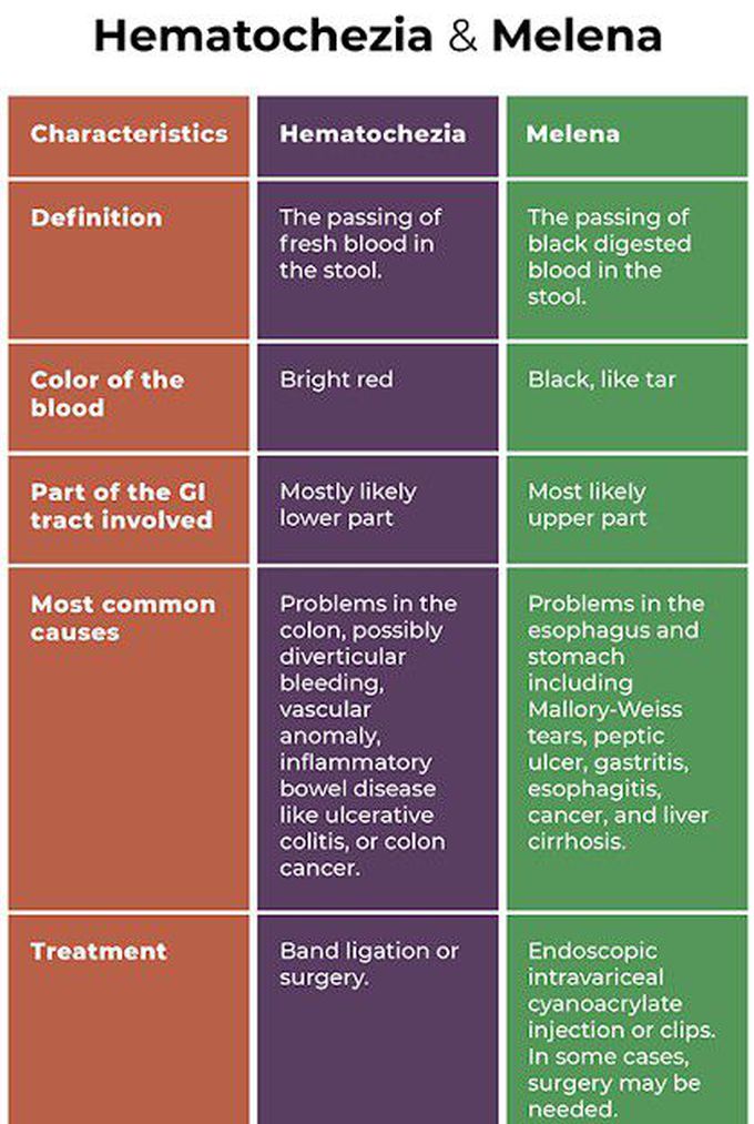 Hematochezia Vs Melena