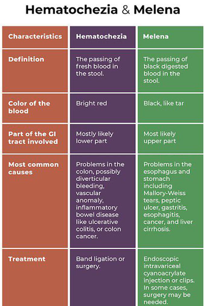 Hematochezia Vs Melena