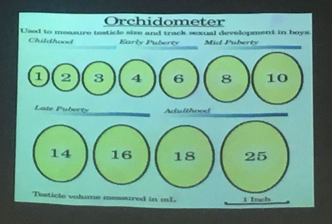 Orchidometer of examination