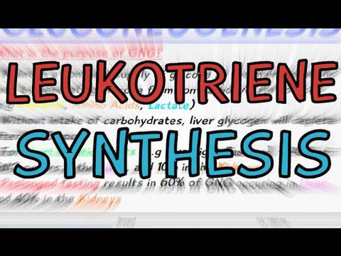 Synthesis of leukotrienes