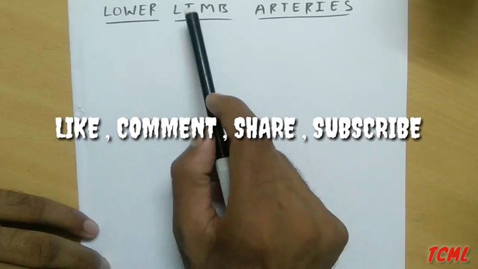 Lower limb Arteries , PART - 1/3