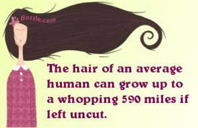 Fact