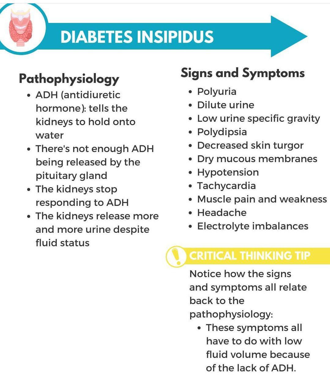 Diabetes Insipidus   MEDizzy