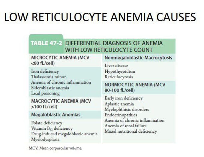 Anemia with low Reti-Count