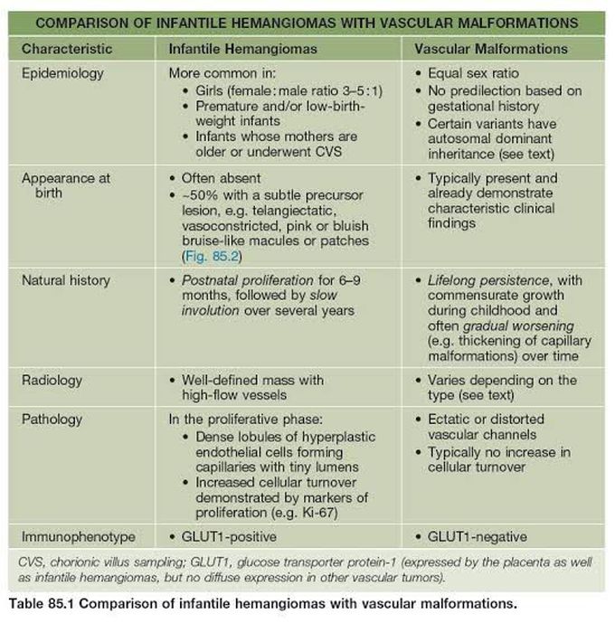 Infantile Hemangioma and Vascular Malformation