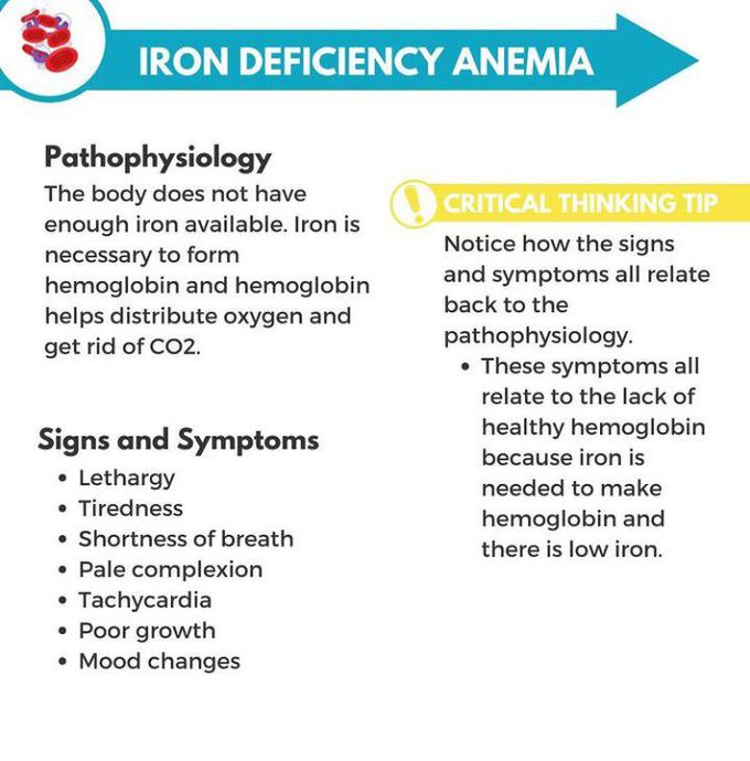 Iron Deficiency Anemia