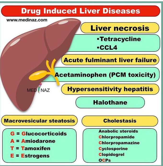 drug-induced-liver-failure-medizzy