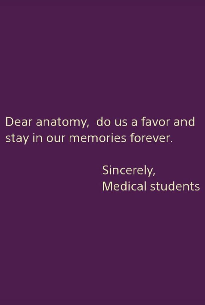 Learning Anatomy has never been easy... Though I really love it❤️