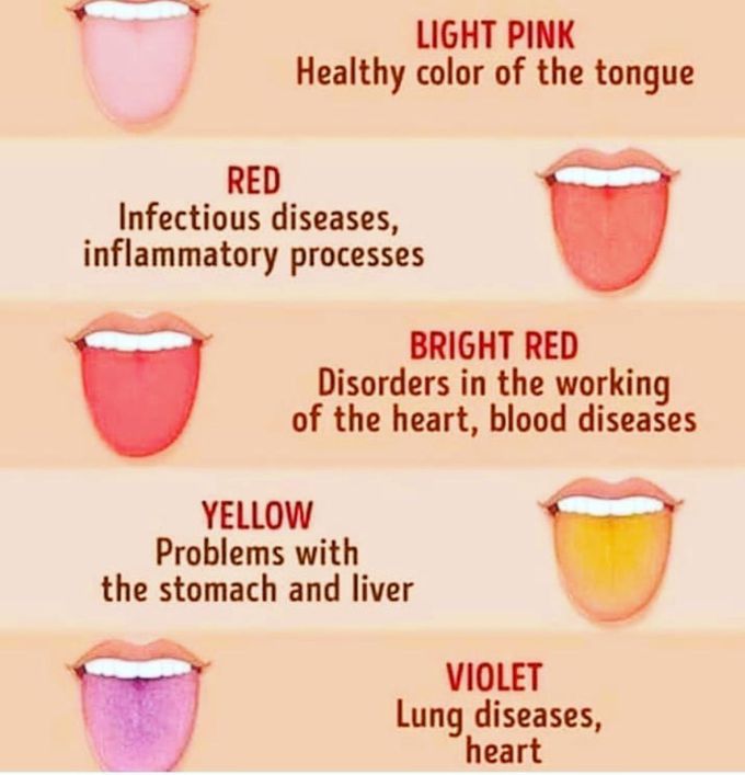 Tongue