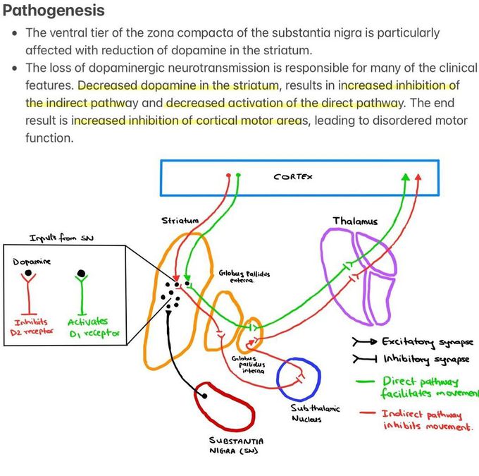 Parkinson's Disease II